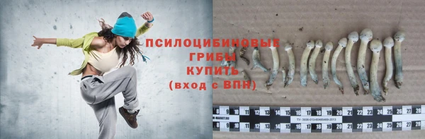 МДПВ Магадан