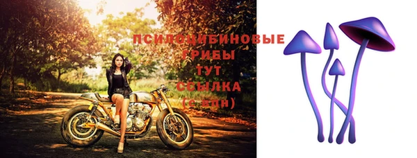 соль ск Майский