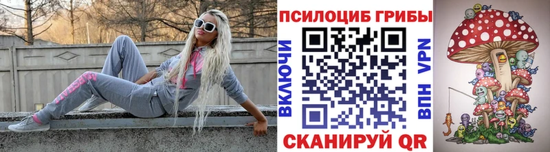 Псилоцибиновые грибы ЛСД  Купить где  Алзамай 